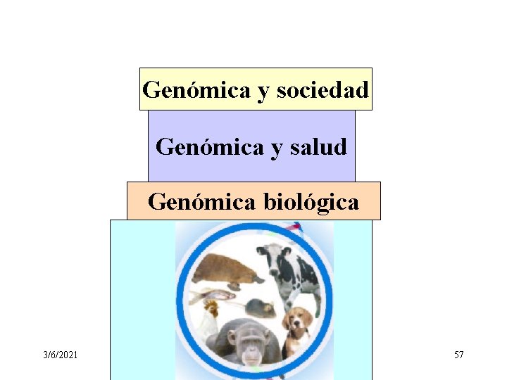 Genómica y sociedad Genómica y salud Genómica biológica 3/6/2021 57 Genómica y sociedad Genómica y salud Genómica biológica 3/6/2021 57