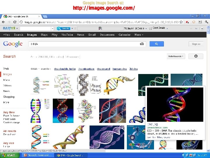 Google Image Search at: http: //images. google. com/ 