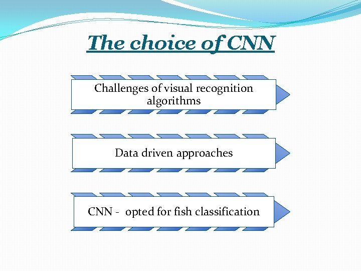 The choice of CNN Challenges of visual recognition algorithms Data driven approaches CNN -