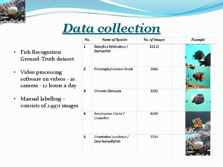 Data collection • Fish Recognition Ground-Truth dataset • Video processing software on videos -