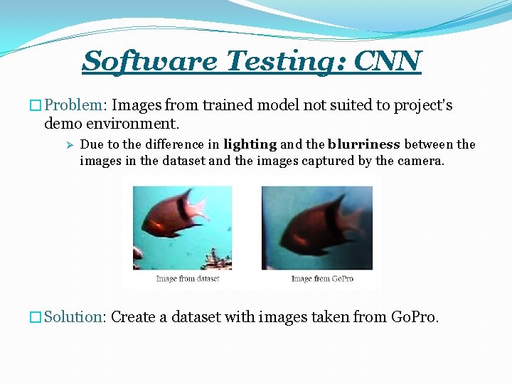 Software Testing: CNN �Problem: Images from trained model not suited to project’s demo environment.