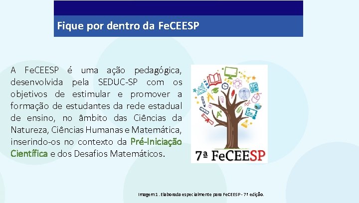 Fique por dentro da Fe. CEESP A Fe. CEESP é uma ação pedagógica, desenvolvida