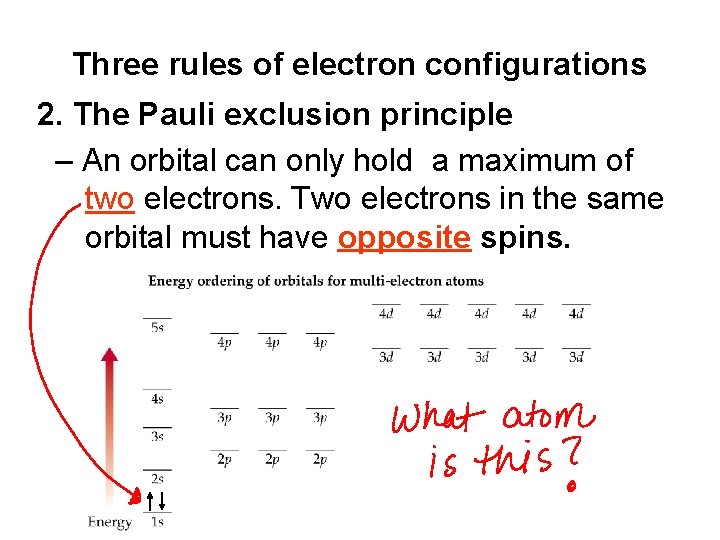 Three rules of electron configurations 2. The Pauli exclusion principle – An orbital can