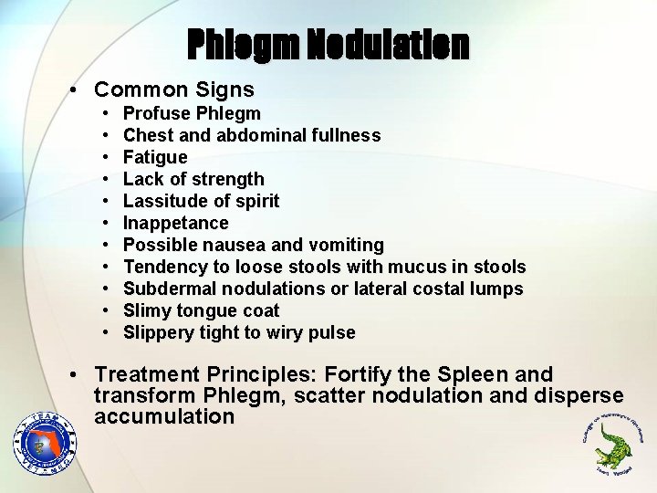 Phlegm Nodulation • Common Signs • • • Profuse Phlegm Chest and abdominal fullness Phlegm Nodulation • Common Signs • • • Profuse Phlegm Chest and abdominal fullness