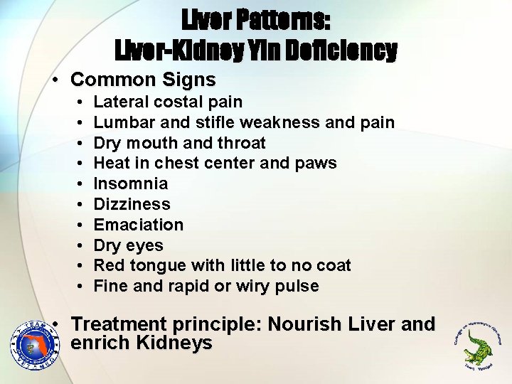 Liver Patterns: Liver-Kidney Yin Deficiency • Common Signs • • • Lateral costal pain Liver Patterns: Liver-Kidney Yin Deficiency • Common Signs • • • Lateral costal pain