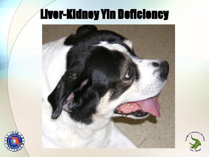 Liver-Kidney Yin Deficiency Liver-Kidney Yin Deficiency