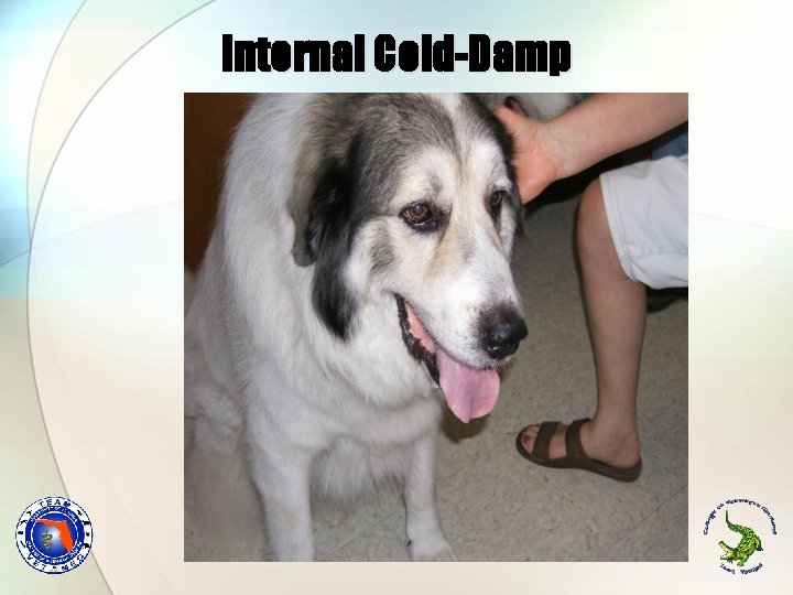 Internal Cold-Damp Internal Cold-Damp