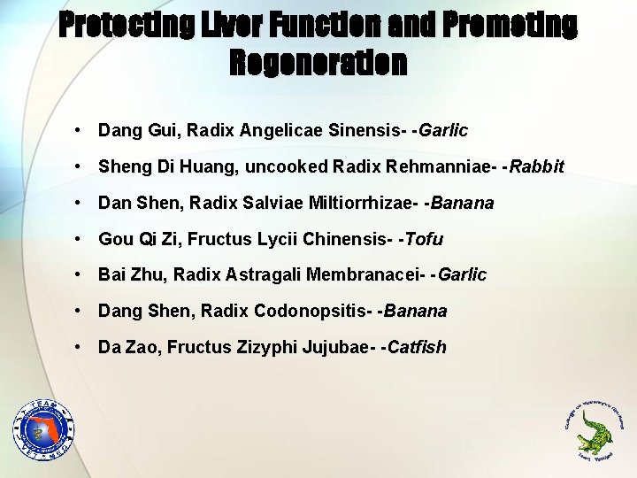 Protecting Liver Function and Promoting Regeneration • Dang Gui, Radix Angelicae Sinensis- -Garlic • Protecting Liver Function and Promoting Regeneration • Dang Gui, Radix Angelicae Sinensis- -Garlic •