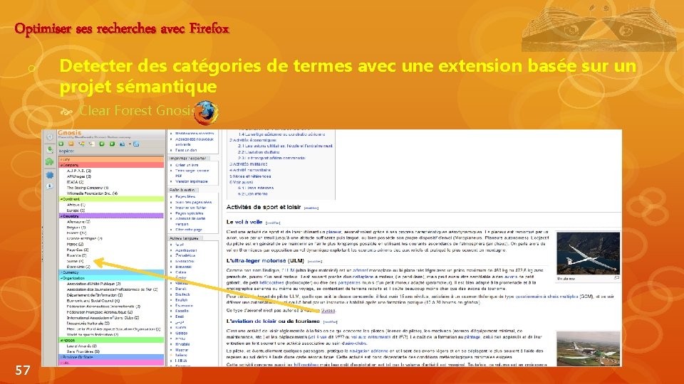 Optimiser ses recherches avec Firefox o Detecter des catégories de termes avec une extension