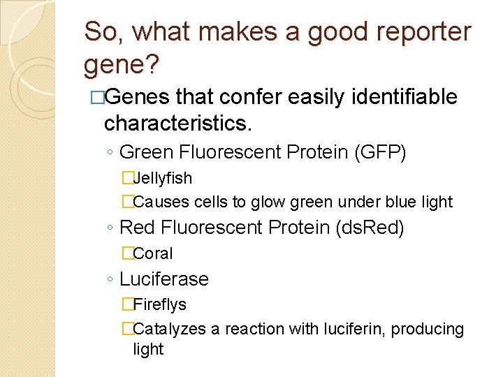 So, what makes a good reporter gene? �Genes that confer easily identifiable characteristics. ◦