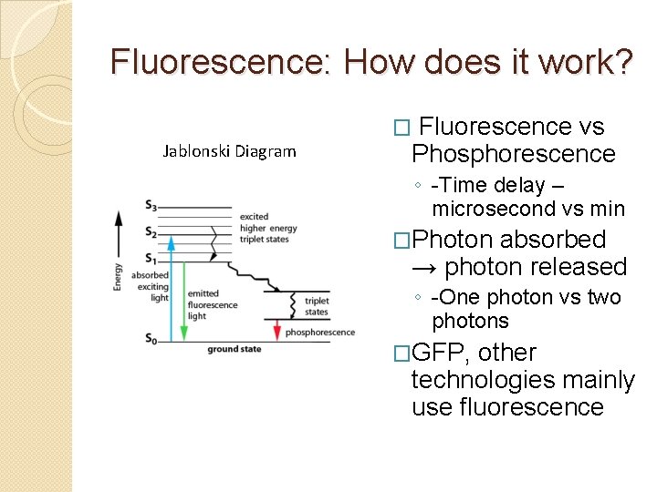 Fluorescence: How does it work? Fluorescence vs Phosphorescence � Jablonski Diagram ◦ -Time delay