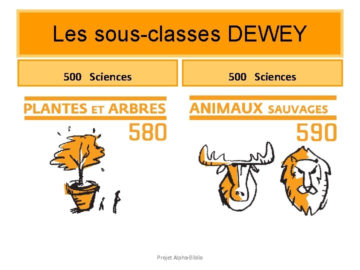 Les sous-classes DEWEY 500 Sciences Projet Alpha-Biblio Les sous-classes DEWEY 500 Sciences Projet Alpha-Biblio