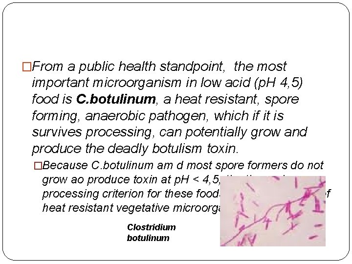 �From a public health standpoint, the most important microorganism in low acid (p. H