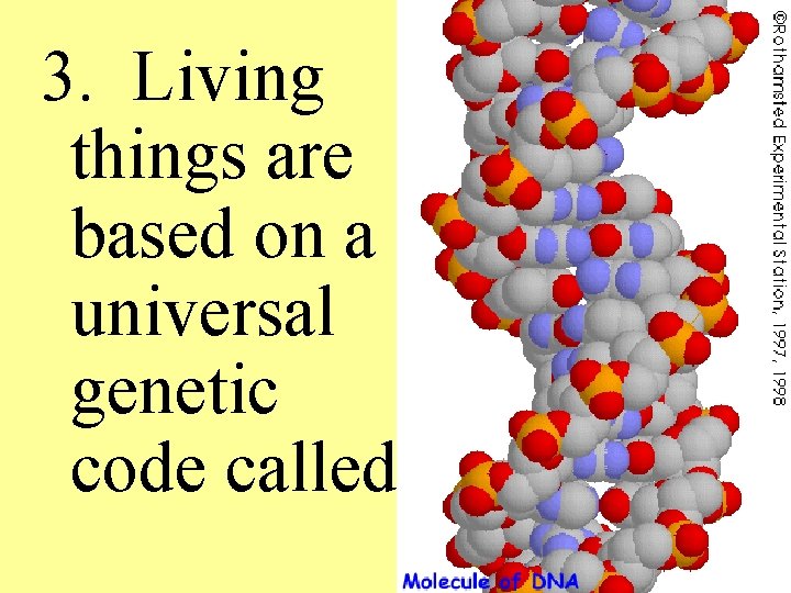 3. Living things are based on a universal genetic code called 