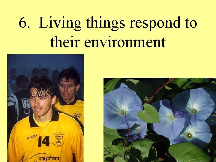 6. Living things respond to their environment 