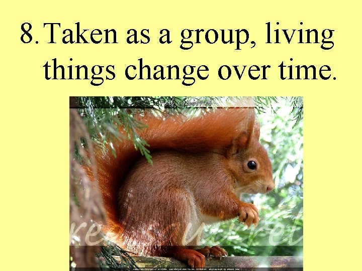 8. Taken as a group, living things change over time. 