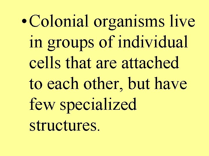  • Colonial organisms live in groups of individual cells that are attached to