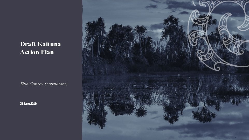 Draft Kaituna Action Plan Elva Conroy (consultant) 28 June 2019 