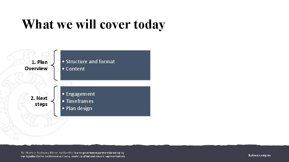 What we will cover today 1. Plan Overview 2. Next steps • Structure and