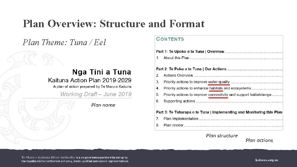 Plan Overview: Structure and Format Plan Theme: Tuna / Eel Plan name Plan structure