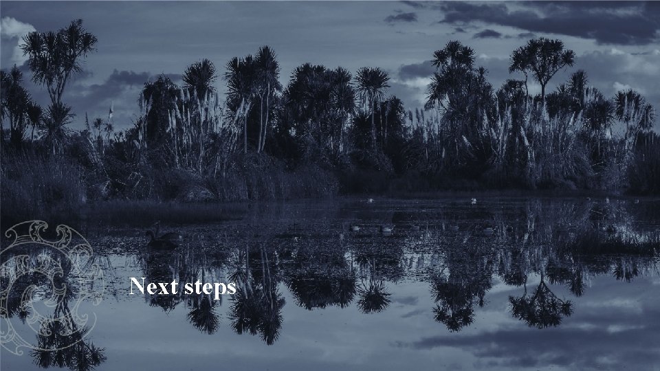 Next steps 