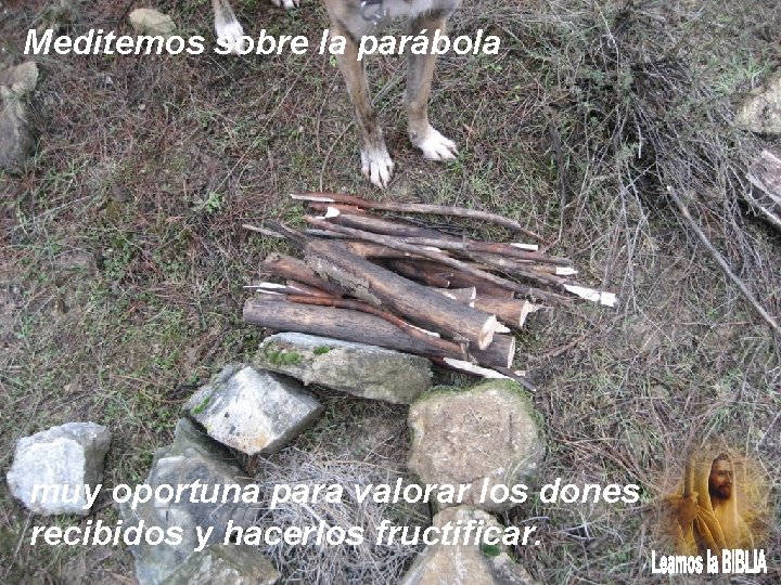 Meditemos sobre la parábola muy oportuna para valorar los dones recibidos y hacerlos fructificar.