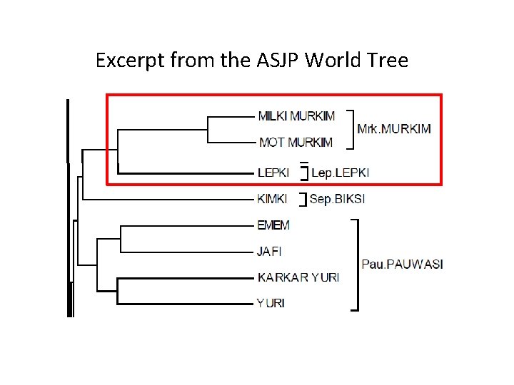 Excerpt from the ASJP World Tree 