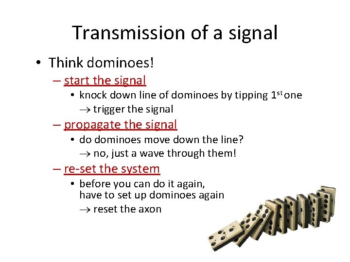 Transmission of a signal • Think dominoes! – start the signal • knock down