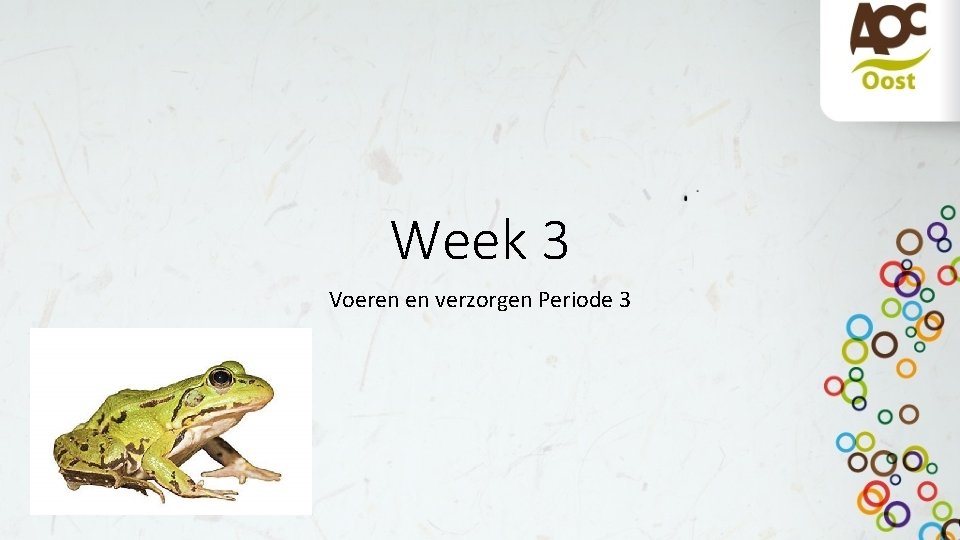 Week 3 Voeren en verzorgen Periode 3 