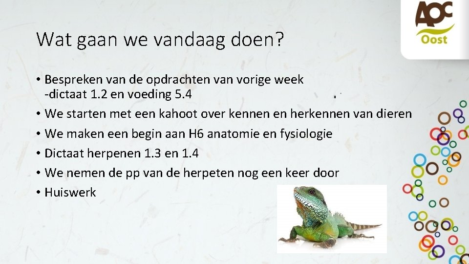 Wat gaan we vandaag doen? • Bespreken van de opdrachten van vorige week -dictaat