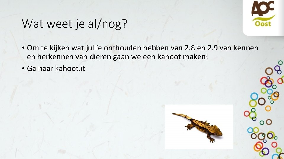 Wat weet je al/nog? • Om te kijken wat jullie onthouden hebben van 2.