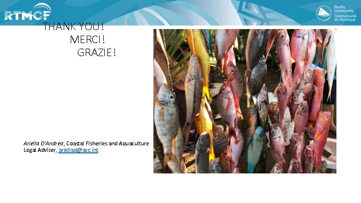 THANK YOU! MERCI! GRAZIE! Ariella D’Andrea, Coastal Fisheries and Aquaculture Legal Adviser, ariellad@spc. int
