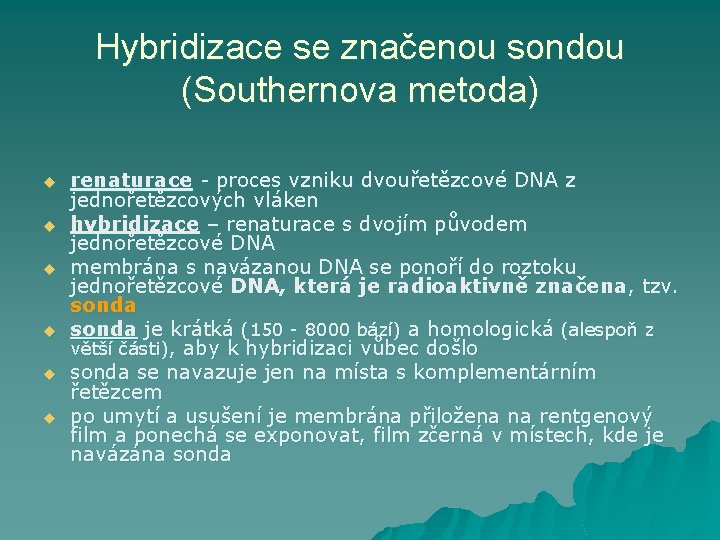 Hybridizace se značenou sondou (Southernova metoda) u u u renaturace - proces vzniku dvouřetězcové