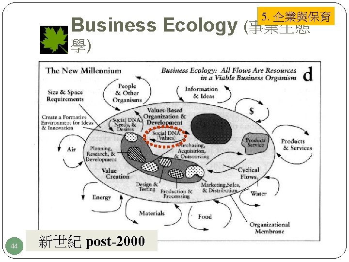 5. 企業與保育 Business Ecology (事業生態 學) 44 新世紀 post-2000 
