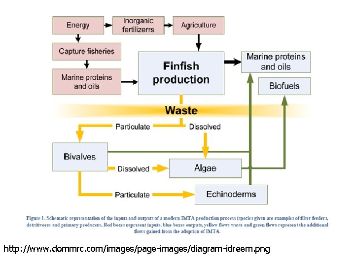 http: //www. dommrc. com/images/page-images/diagram-idreem. png 