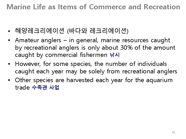 Marine Life as Items of Commerce and Recreation • 해양레크리에이션 (바다와 레크리에이션) • Amateur