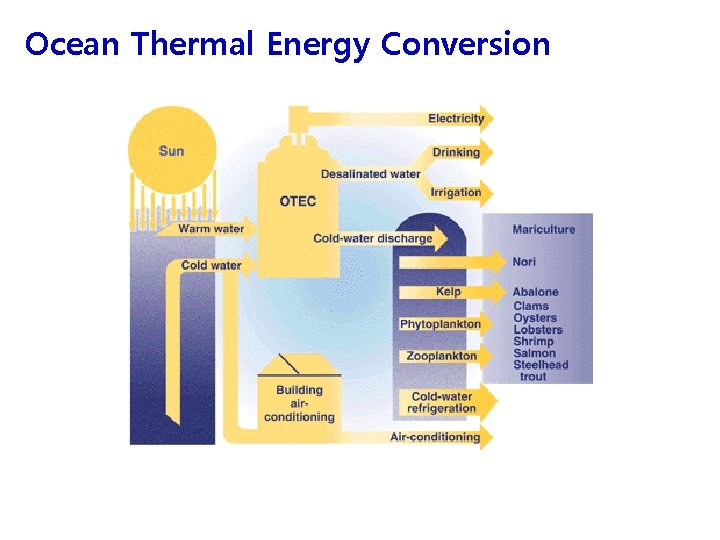 Ocean Thermal Energy Conversion 