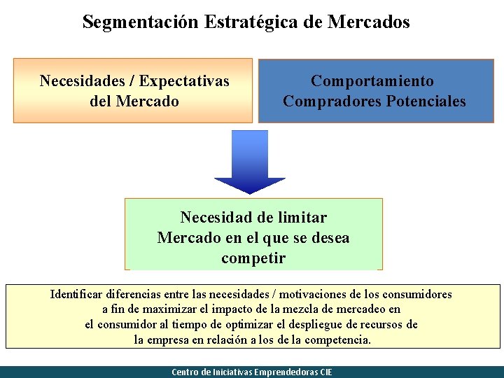 Segmentación Estratégica de Mercados Necesidades / Expectativas del Mercado Comportamiento Compradores Potenciales Necesidad de