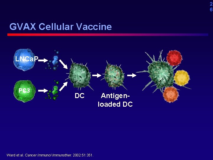 2 6 GVAX Cellular Vaccine LNCa. P PC 3 DC Ward et al. Cancer
