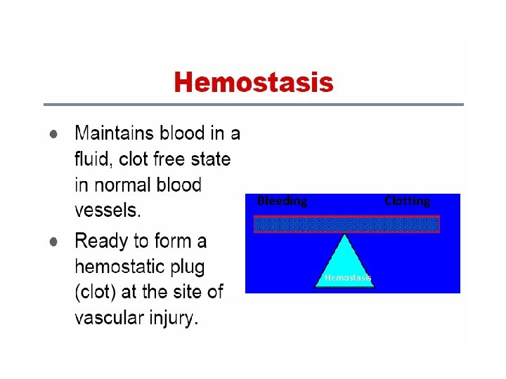 Bleeding Clotting Hemostasis 