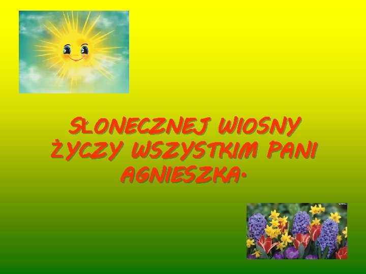 SŁONECZNEJ WIOSNY ŻYCZY WSZYSTKIM PANI AGNIESZKA. 