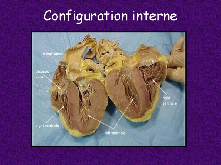 Configuration interne 