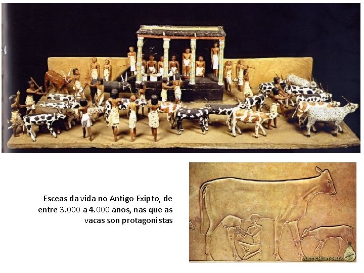Esceas da vida no Antigo Exipto, de entre 3. 000 a 4. 000 anos,