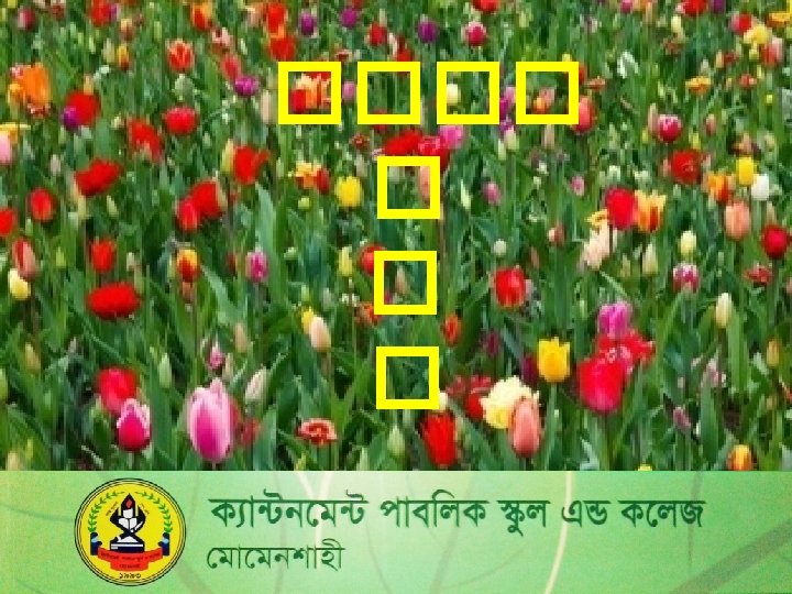 A Ky A W Zwb Aviv M N