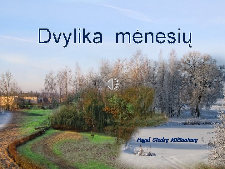 Dvylika mėnesių Pagal Giedrę Mičiūnienę 