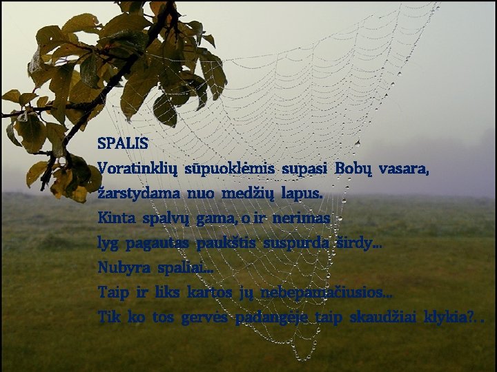 SPALIS Voratinklių sūpuoklėmis supasi Bobų vasara, žarstydama nuo medžių lapus. Kinta spalvų gama, o