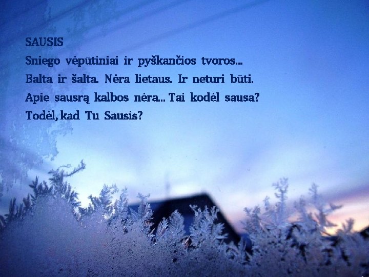 SAUSIS Sniego vėpūtiniai ir pyškančios tvoros. . . Balta ir šalta. Nėra lietaus. Ir SAUSIS Sniego vėpūtiniai ir pyškančios tvoros. . . Balta ir šalta. Nėra lietaus. Ir