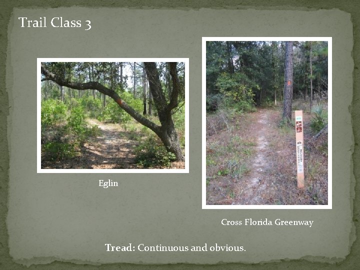 Trail Class 3 Eglin Cross Florida Greenway Tread: Continuous and obvious. 