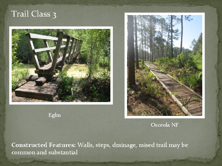 Trail Class 3 Eglin Osceola NF Constructed Features: Walls, steps, drainage, raised trail may
