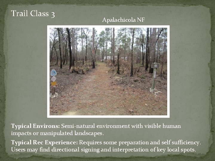 Trail Class 3 Apalachicola NF Typical Environs: Semi-natural environment with visible human impacts or
